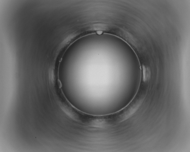 X0000113040252200909031317