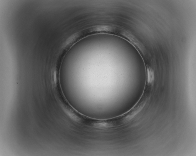 X0000113040253200909031317