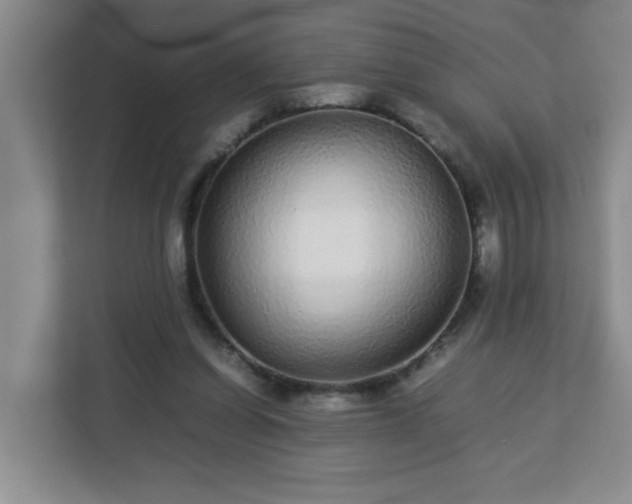 X0000113040254200909031317