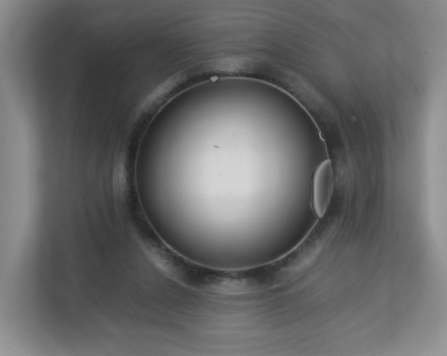 X0000113040256200909031317