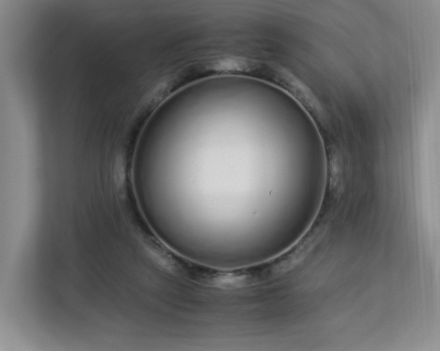 X0000113040257200909031317