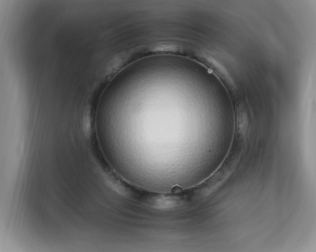 X0000113040261200909031318