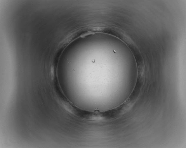 X0000113040262200909031318