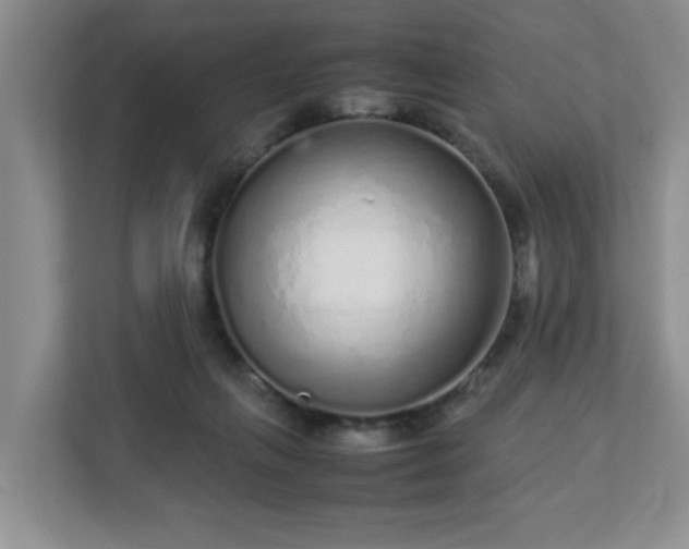 X0000113040263200909031318