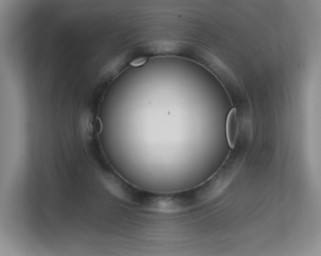 X0000113040264200909031318