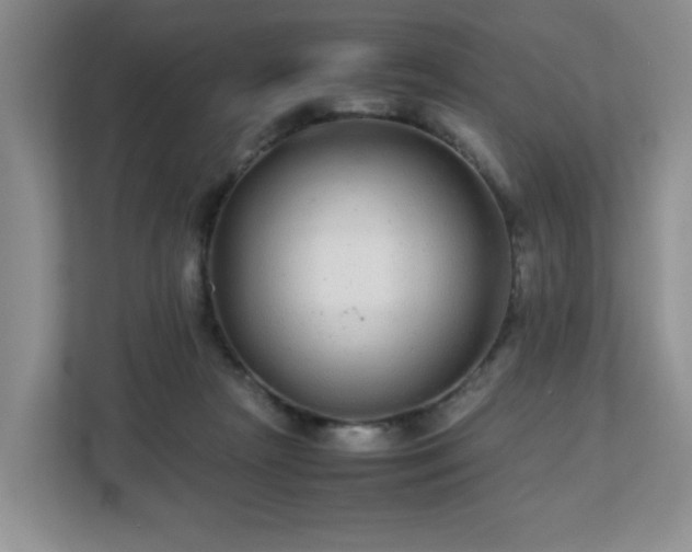 X0000113040265200909031318