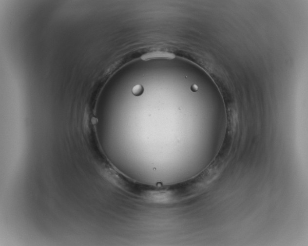 X0000113040266200909031318