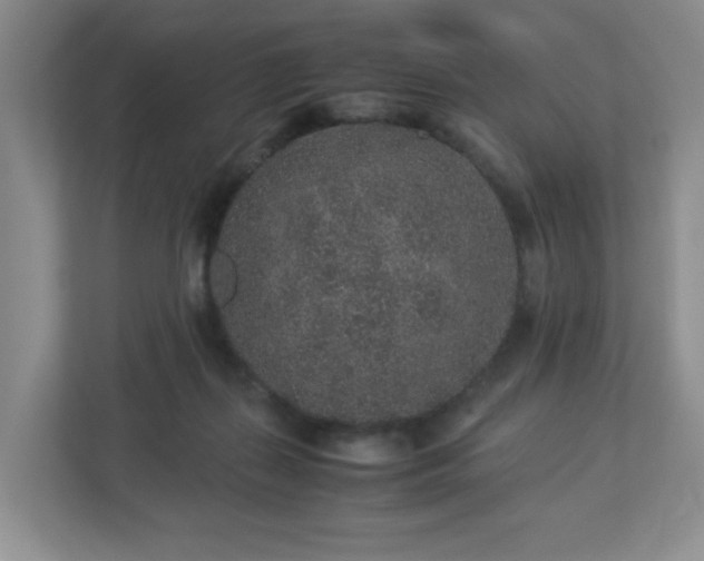 X0000113040267200909031318