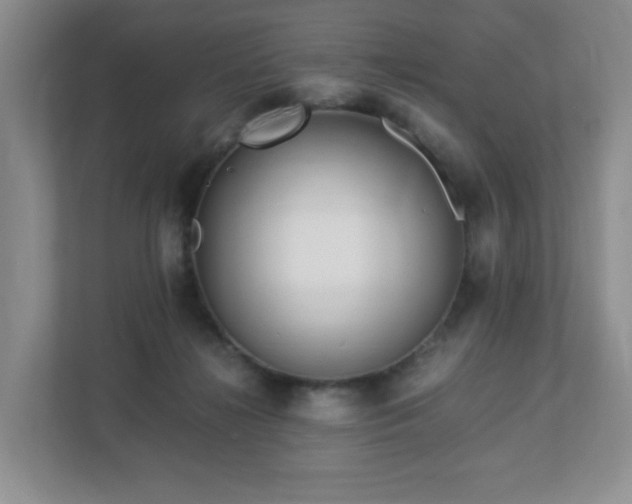 X0000113040268200909031318