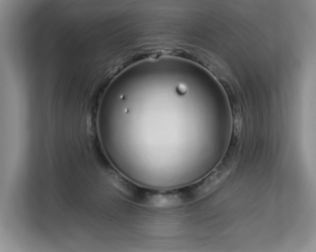 X0000113040270200909031318