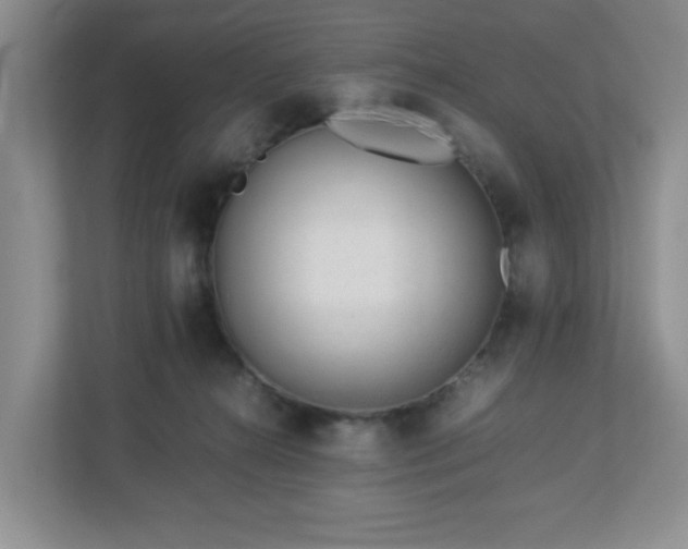 X0000113040272200909031318