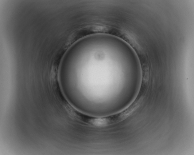 X0000113040273200909031318