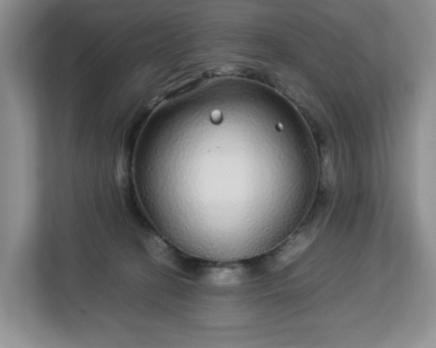 X0000113040274200909031318