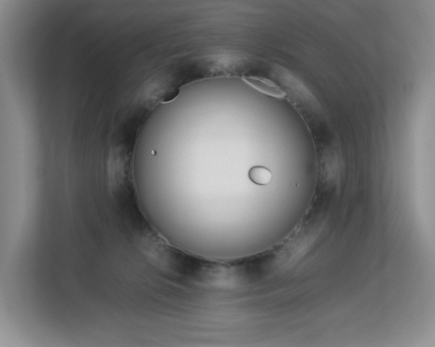 X0000113040276200909031318