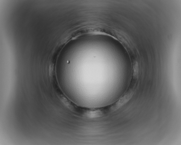 X0000113040278200909031318