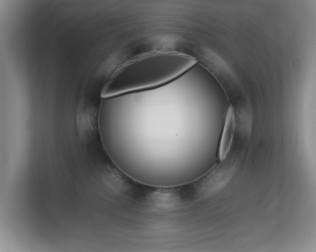 X0000113040280200909031318