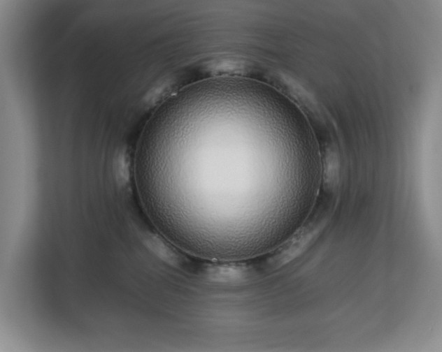 X0000113040282200909031318