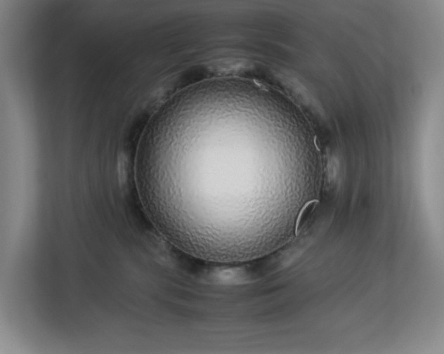 X0000113040283200909031318