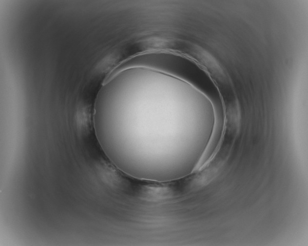 X0000113040284200909031318