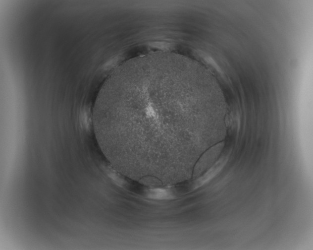 X0000113040285200909031318