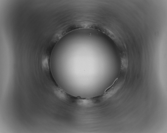 X0000113040286200909031318