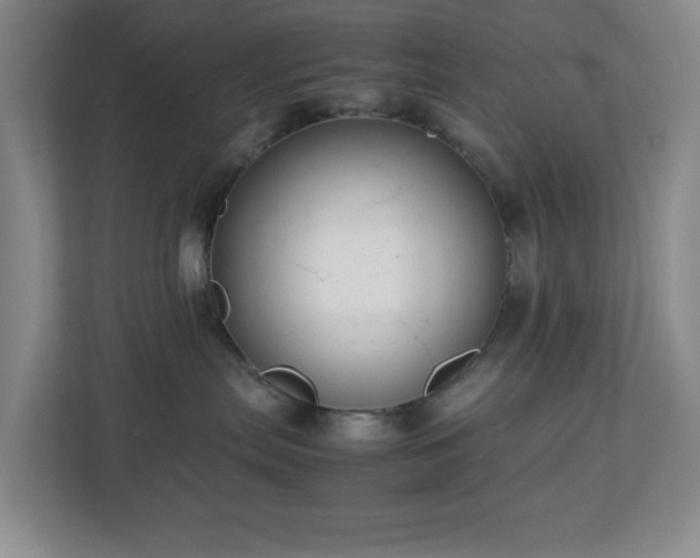 X0000113040287200909031318