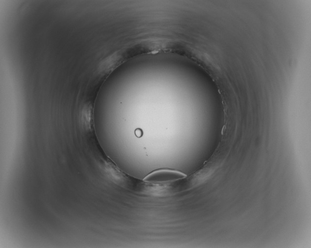 X0000113040288200909031318