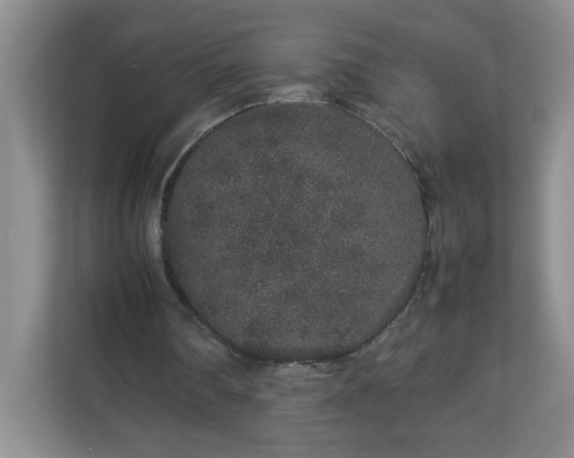 X0000113040290200909031317