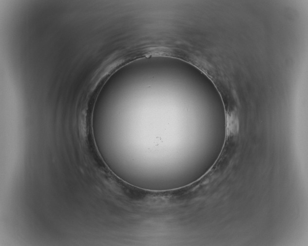 X0000113040291200909031317