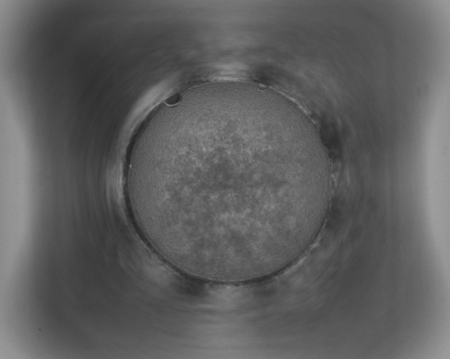 X0000113040293200909031317