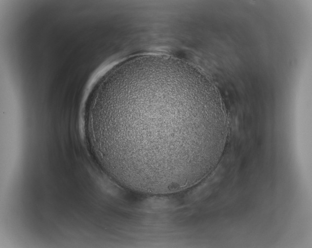 X0000113040294200909031317