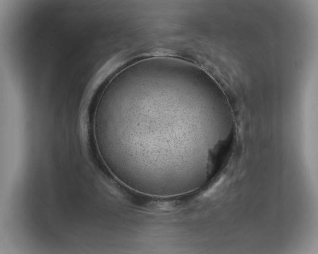 X0000113040295200909031317