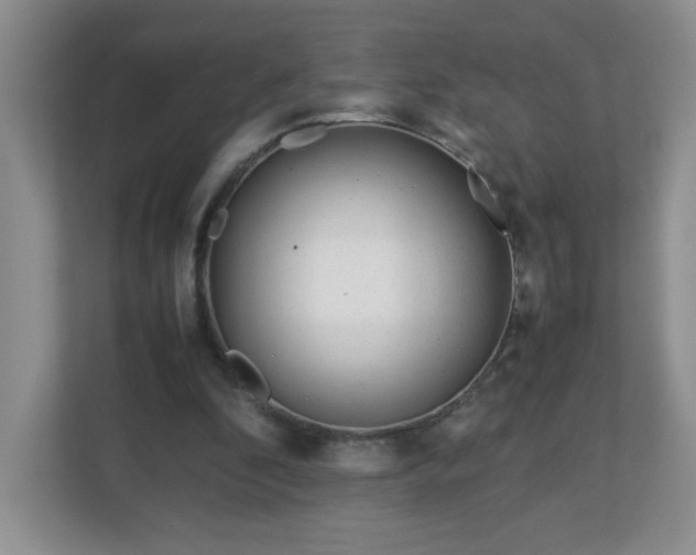 X0000113040296200909031317