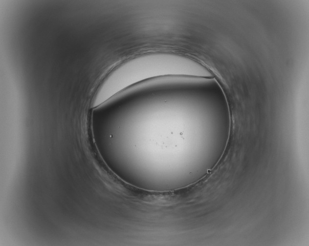 X0000113040297200909031317