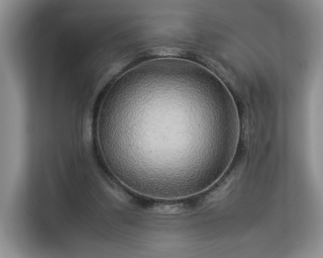 X0000113040299200909031317