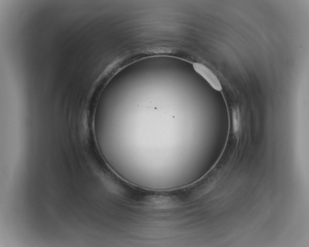 X0000113040300200909031317