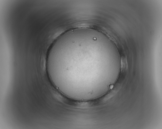 X0000113040301200909031317