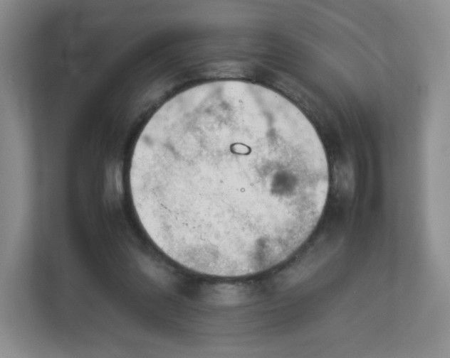 X0000113040302200909031317