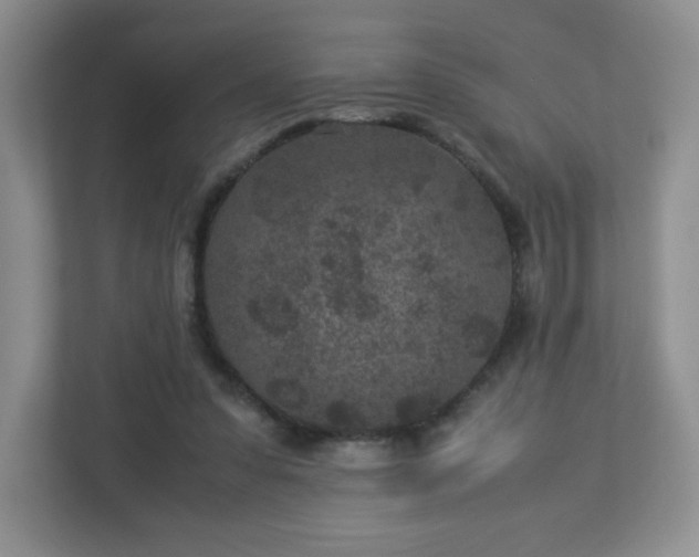 X0000113040303200909031317