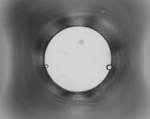 X0000113040309200909031317