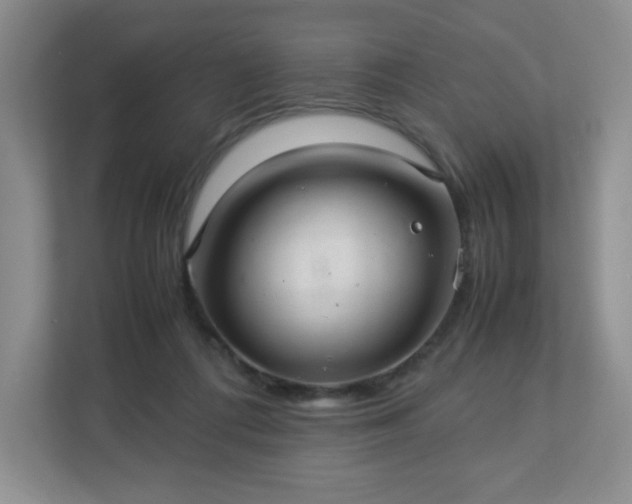 X0000113040312200909031317