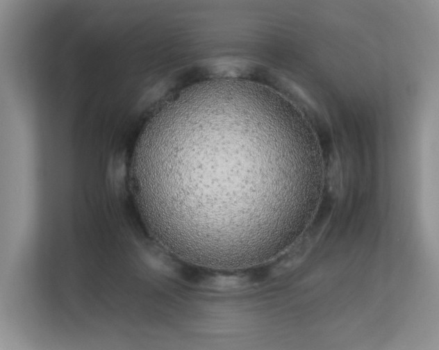 X0000113040314200909031317