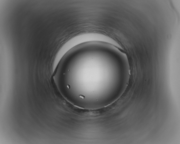 X0000113040320200909031317