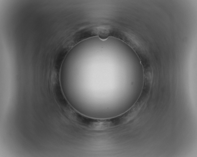 X0000113040323200909031317