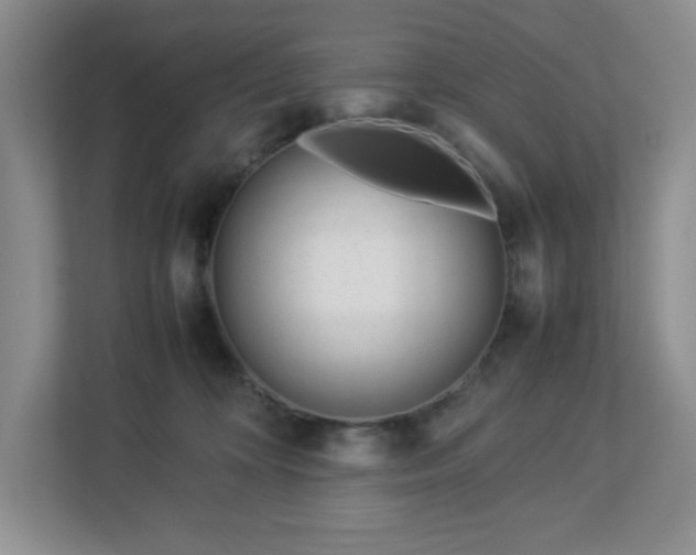 X0000113040324200909031317