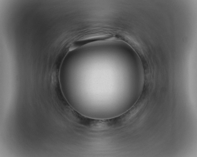 X0000113040325200909031317