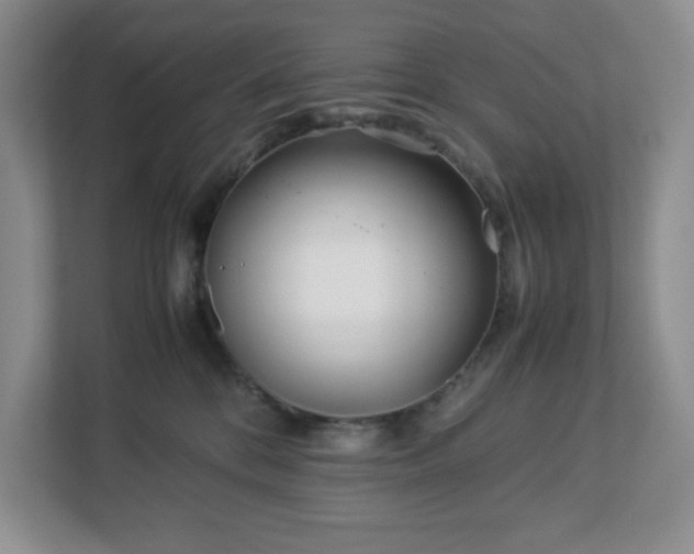 X0000113040328200909031317