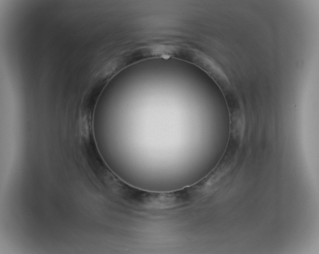 X0000113040329200909031317