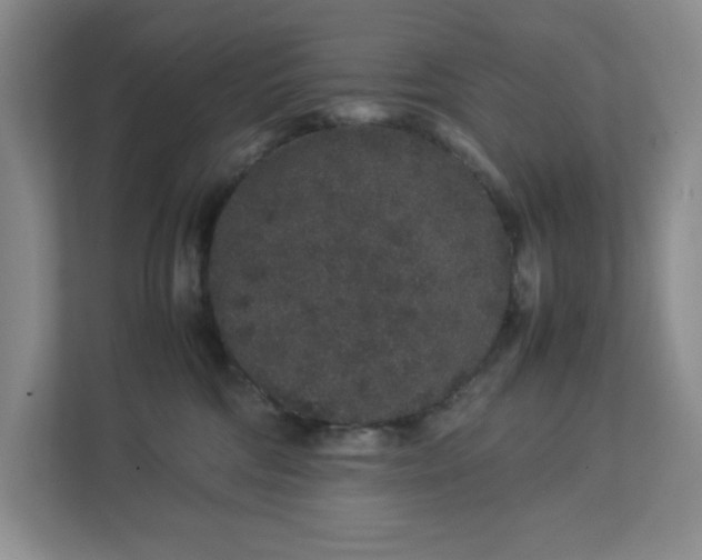 X0000113040330200909031317