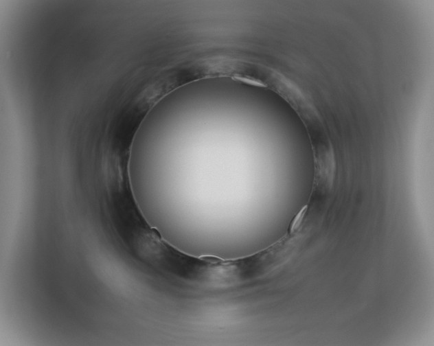 X0000113040333200909031317